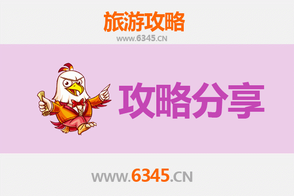 成都邛崃旅游攻略：跟团与自由行深度对比与选择建议